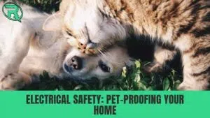 electrical safety pet-proofing your home