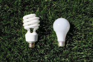 incandescent bulb and energy saving bulb